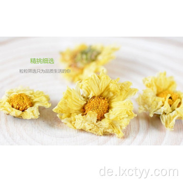 Preis Chrysantheme Schnittblume